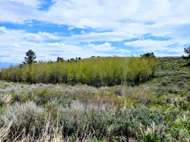 4005 Mill Canyon Rd, Montpelier, ID 83254 - #3