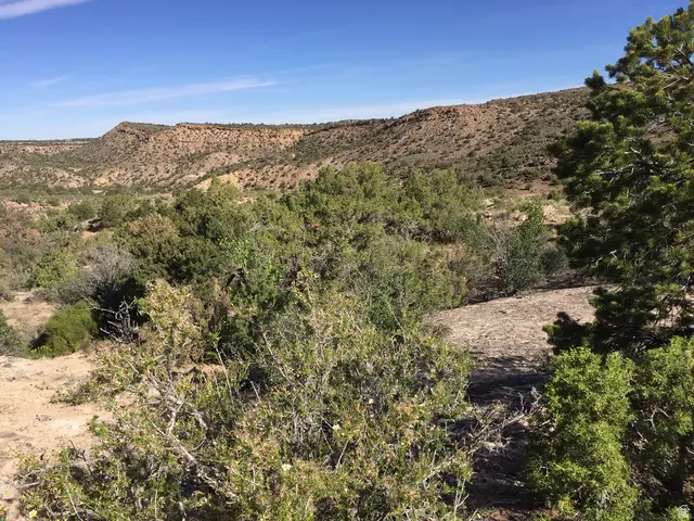 182 E Pole Canyon #5, Moab, UT 84532 - #2