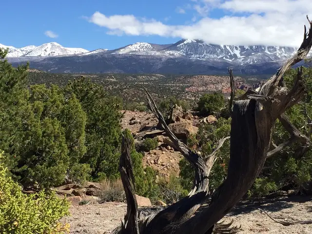 57 W Kane Canyon #17, Moab, UT 84532 - #1
