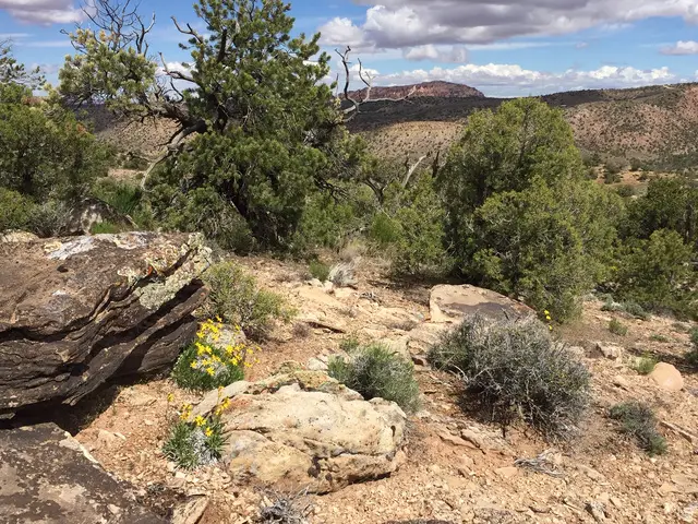 57 W Kane Canyon #17, Moab, UT 84532 - #2