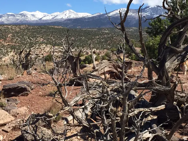 57 W Kane Canyon #17, Moab, UT 84532 - #3