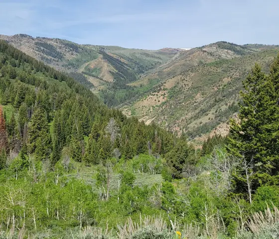 Address Withheld By Seller, Huntsville, UT 84317 - #2