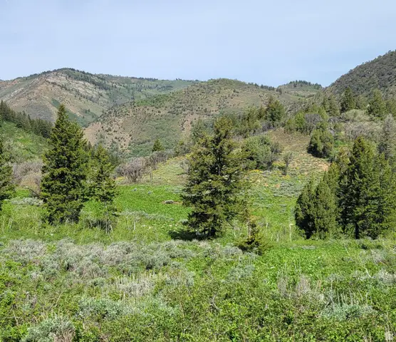 Address Withheld By Seller, Huntsville, UT 84317 - #3