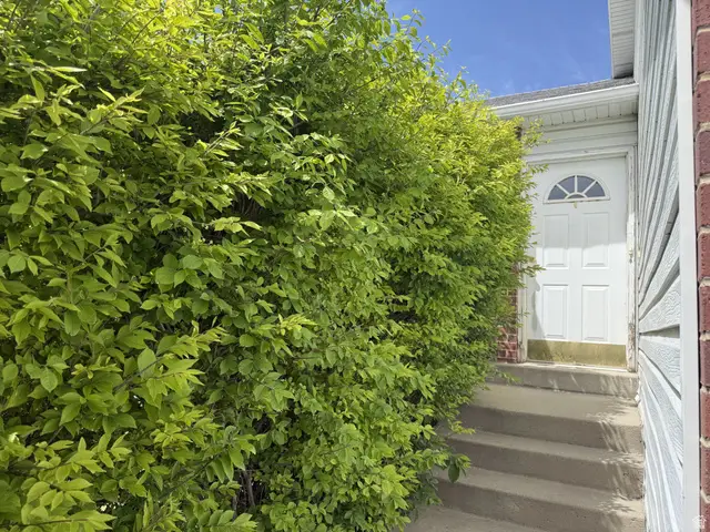 4942 W Coriander St, Salt Lake City, UT 84118 - #2