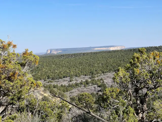 39 Upper Lick Rd #39, Kanab, UT 84741 - #1