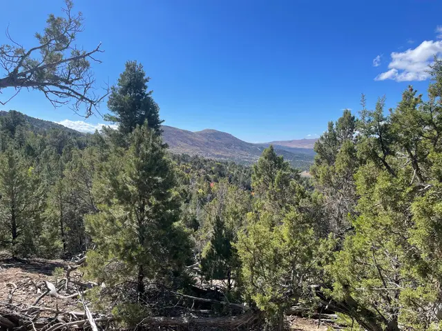 Address Withheld By Seller, Indianola, UT 84629 - #3