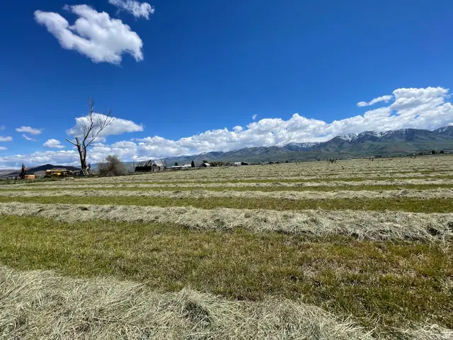750 N Main, Lewiston, UT 84320 - #3
