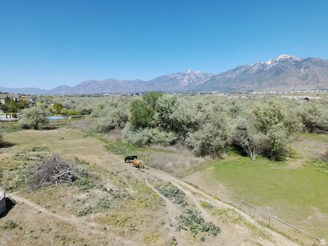 13625 S Lovers Ln, Riverton, UT 84065 - #2