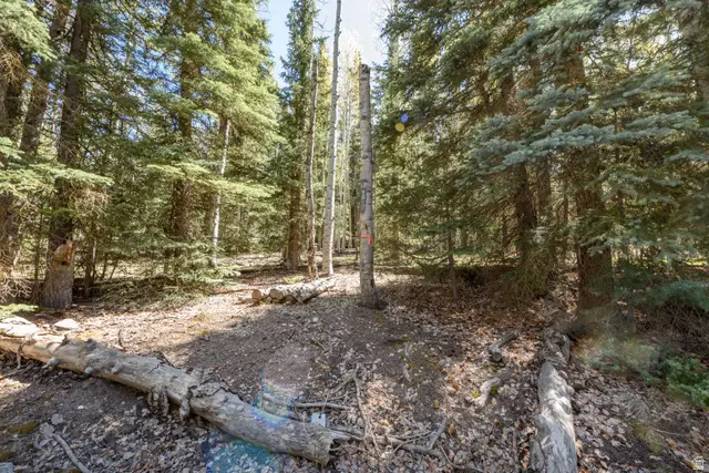 #36, Panguitch, UT 84759 - #3