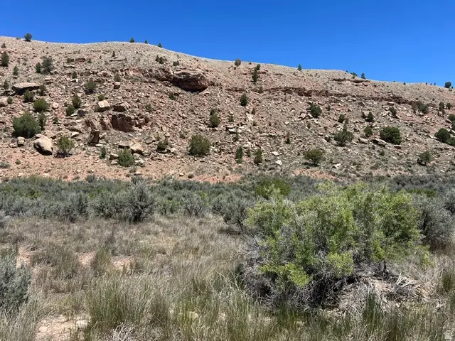 Address Withheld By Seller, Fruitland, UT 84027 - #3