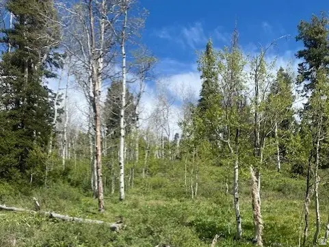 1798 W Alexander Rd #G-65, Coalville, UT 84017 - #3