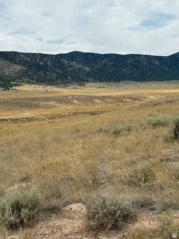 #24, Levan, UT 84639 - #2