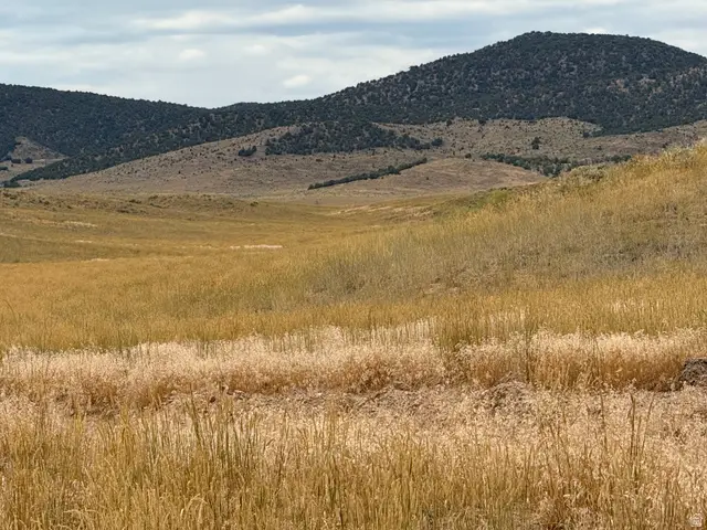 #24, Levan, UT 84639 - #3