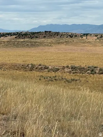 #25, Levan, UT 84639 - #1