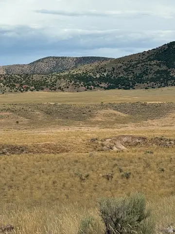 #25, Levan, UT 84639 - #2