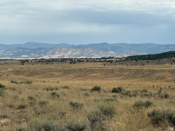#20, Levan, UT 84639