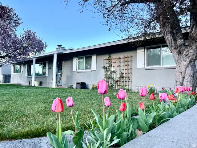 877 N 700 W, Provo, UT 84604 - #3
