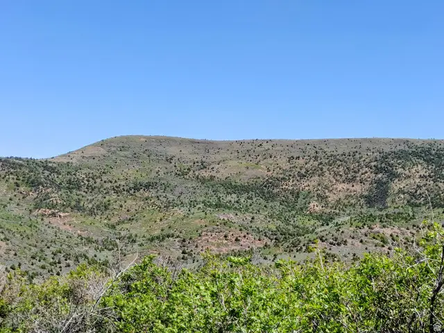 1440 S Beaver Bench Rd #1307, Heber City, UT 84032 - #3
