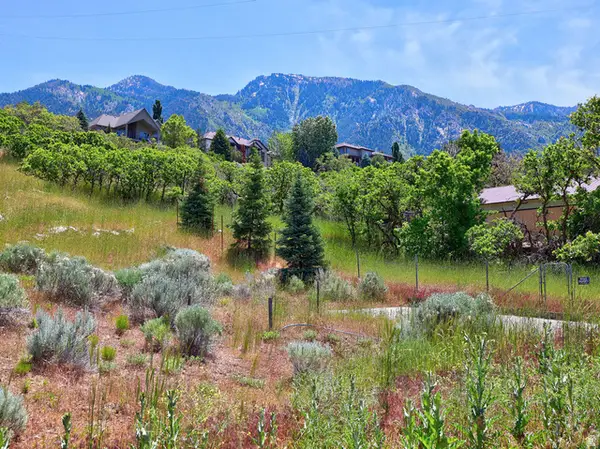 10279 S Dimple Dell Rd #103, Sandy, UT 84092