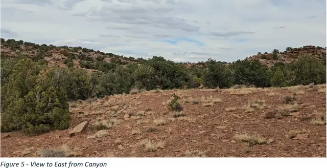 Address Withheld By Seller, Torrey, UT 84775 - #1