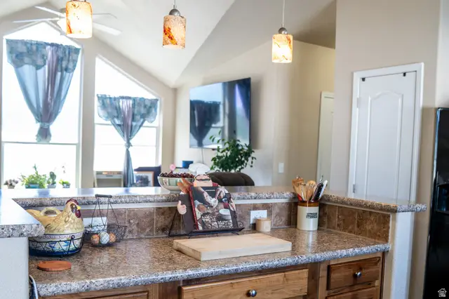 523 N 200 E #13, Loa, UT 84747 - #3