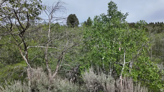 4060 Wildlife Way #443, Kamas, UT 84036 - #3