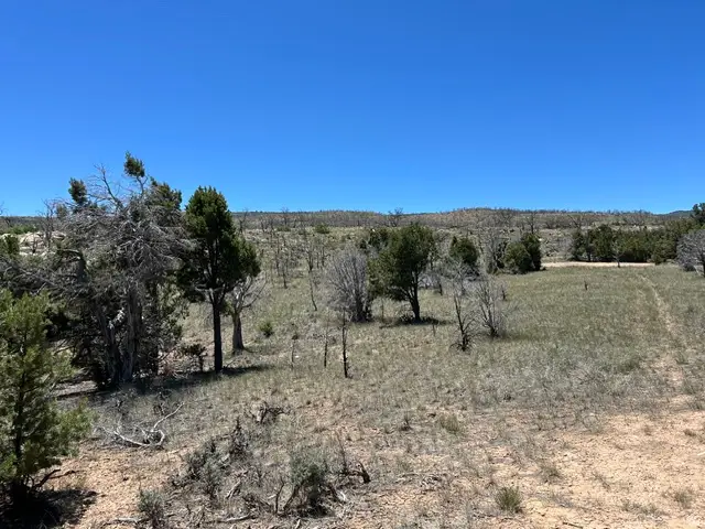Address Withheld By Seller, Fruitland, UT 84027 - #2