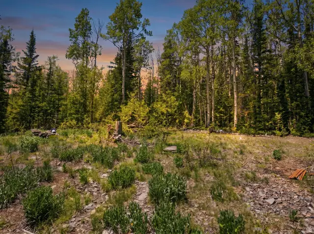 615 E Old Rd, Brian Head, UT 84719 - #1