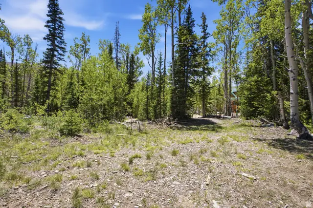 615 E Old Rd, Brian Head, UT 84719 - #3