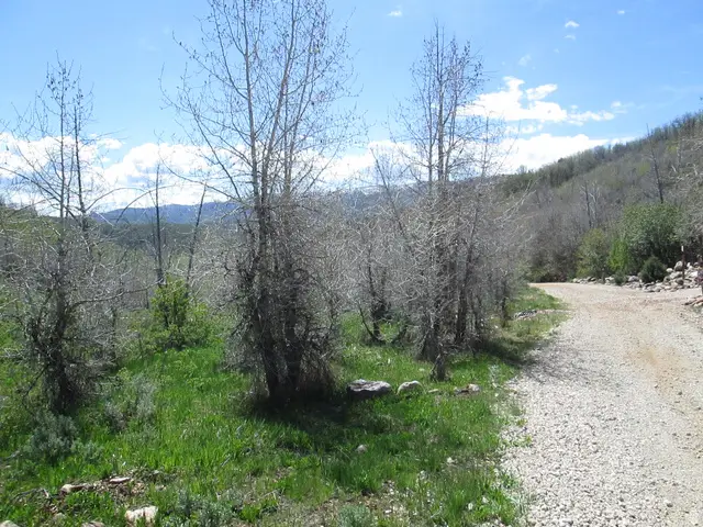 3258 N Water Canyon Ave #679, Huntsville, UT 84317 - #1