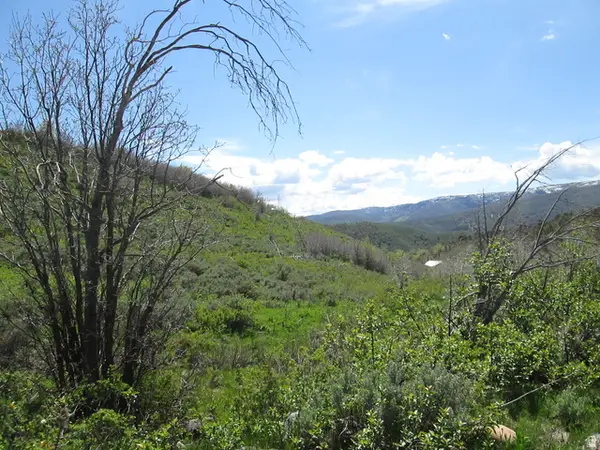 3258 N Water Canyon Ave #679, Huntsville, UT 84317