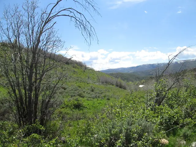 3258 N Water Canyon Ave #679, Huntsville, UT 84317 - #2
