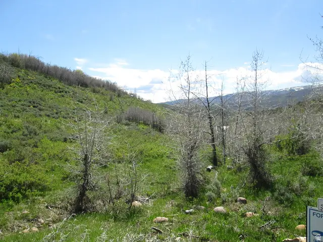 3258 N Water Canyon Ave #679, Huntsville, UT 84317 - #3