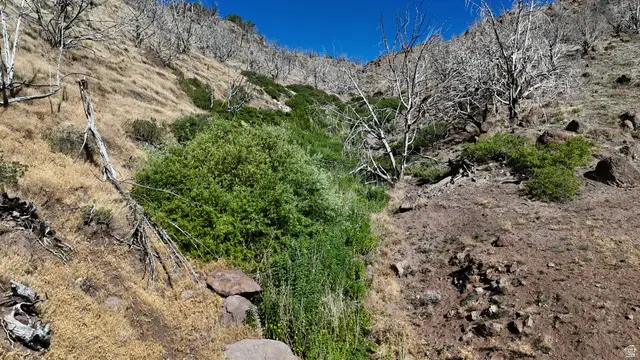 123 W Tbd Willow Spring Rd, Goshen, UT 84633 - #3