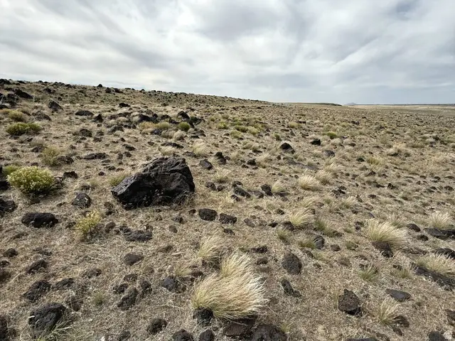 Address Withheld By Seller, Kanosh, UT 84637 - #1