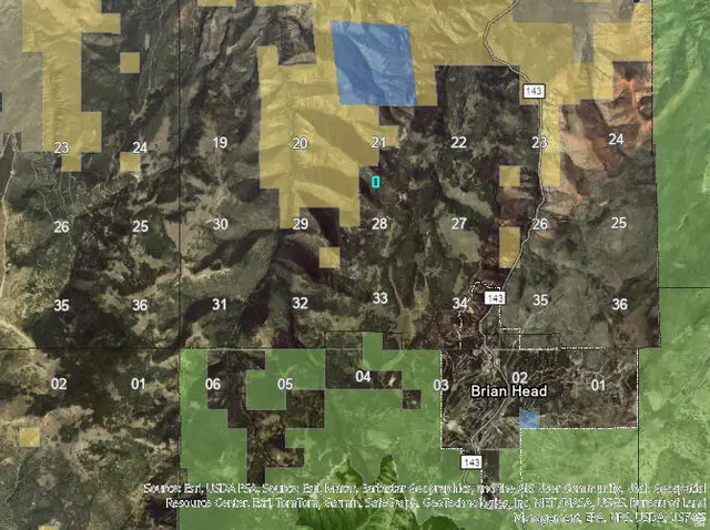 5 Acres Near Dry Lakes Rd, Brian Head, UT 84719 - #3