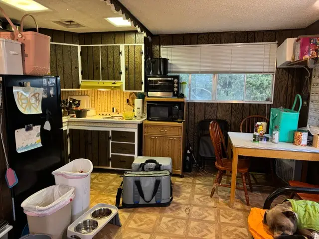 1039 Lewis Dr, Tabiona, UT 84072 - #3