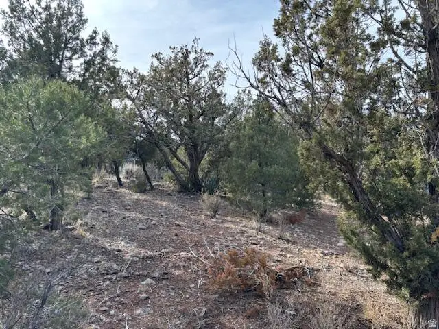 277 N Pinion Cir #9, Central, UT 84722 - #3
