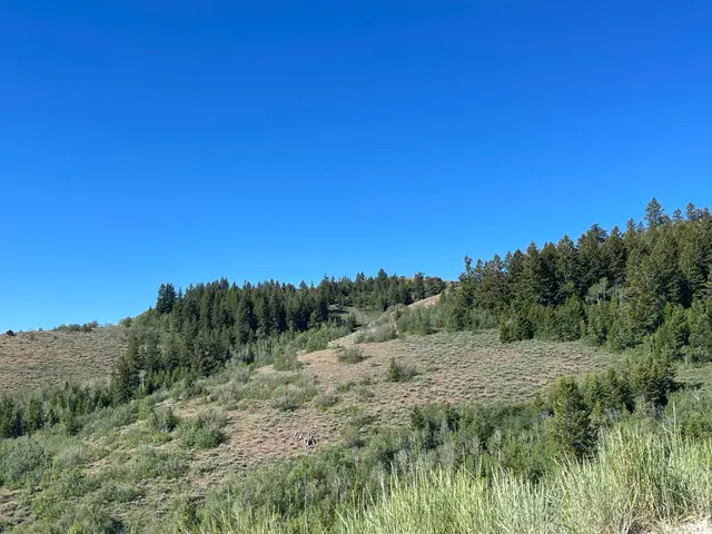 349 Mill Canyon Rd, Montpelier, ID 83254 - #3