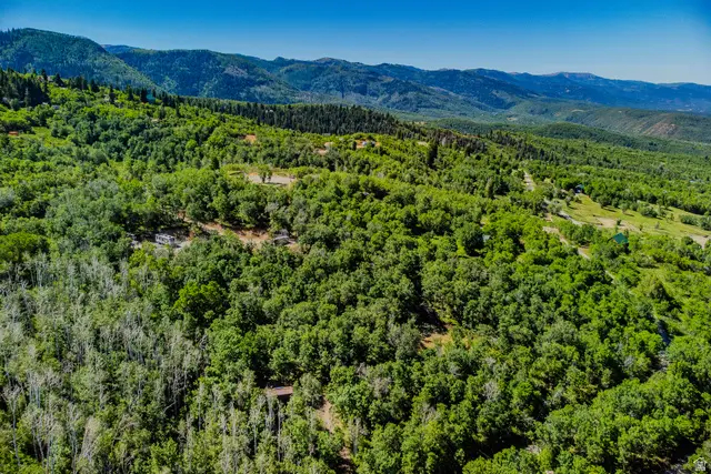 1074 Edgewood Dr #1074, Fairview, UT 84629 - #2