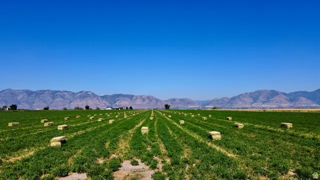 1181 N 6000 W, Corinne, UT 84307 - #3