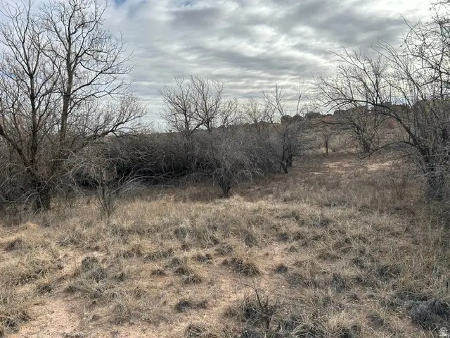 Address Withheld By Seller, Roosevelt, UT 84066 - #2