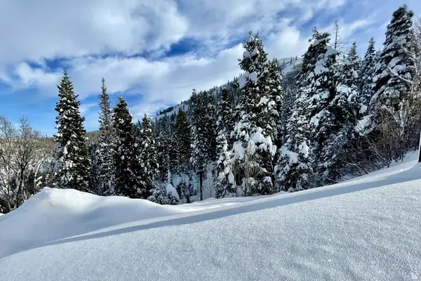 7092 Canyon Dr #116, Park City, UT 84098