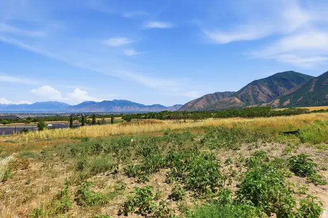 550 W Autumn Blaze #17, Woodland Hills, UT 84653 - #2