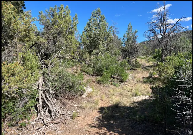 Address Withheld By Seller, La Sal, UT 84530 - #2