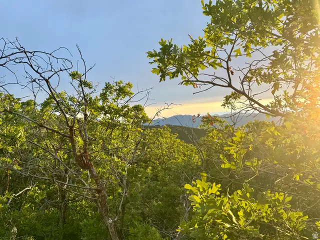 1556 S Tree Top Ln #353, Heber City, UT 84032 - #1