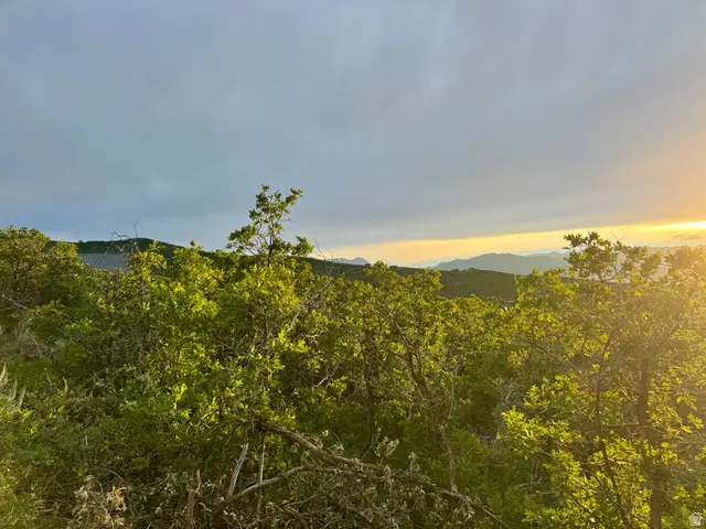 1556 S Tree Top Ln #353, Heber City, UT 84032 - #2