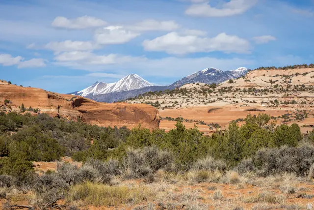160 S Joe Wilson Dr #15, La Sal, UT 84530 - #1