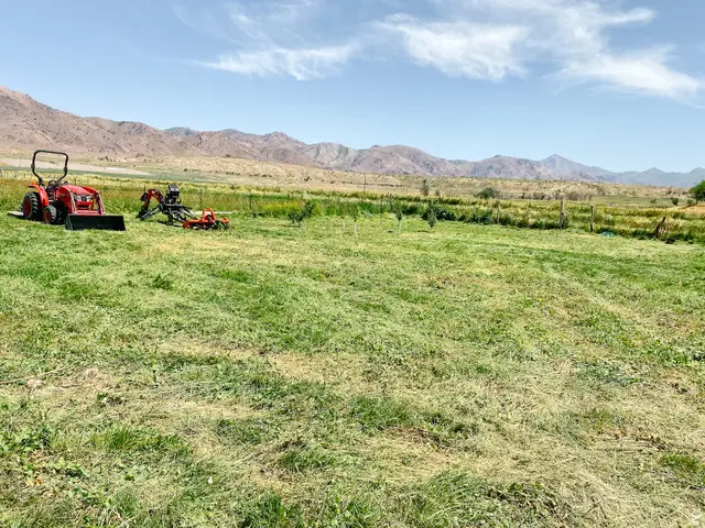 300 S 300 E, Leamington, UT 84638 - #2