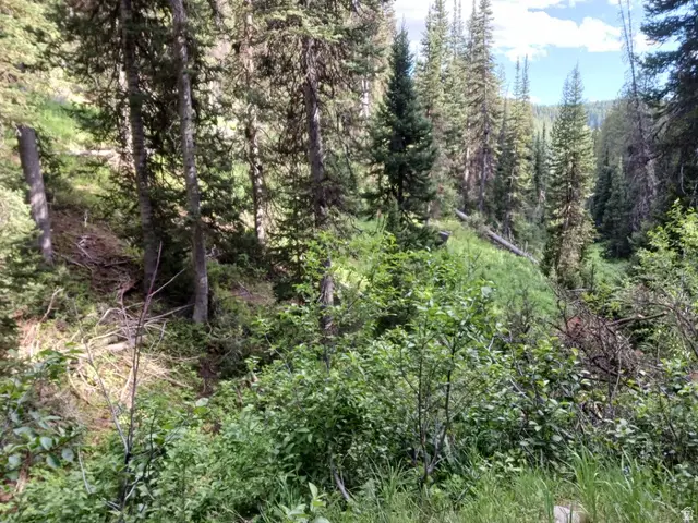 Baxter Sawmill Rd E, Hyrum, UT 84319 - #2